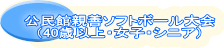 �����ِe�P�\�t�g�{�[����� �i40�Έȏ�E���q�E�V�j�A�j