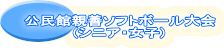 �����ِe�P�\�t�g�{�[����� (�V�j�A�E���q) 