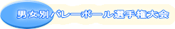 �j���ʃo���[�{�[���I�茠���
