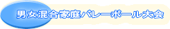 �j�������ƒ�o���[�{�[�����