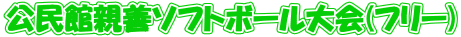 �����ِe�P�\�t�g�{�[�����(�t���[)