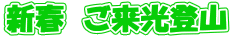 �V�t�@�������o�R
