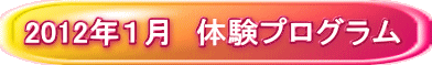 2012�N�P���@�̌��v���O���� 