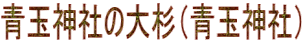 ʐ_Ђ̑吙iʐ_Ёj
