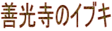 P̃CuL