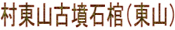 RÕΊiRj